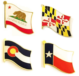 State Single Flag Pins